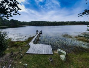 Dock and Pond